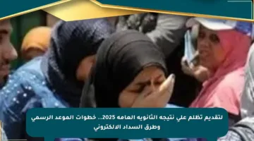 لتقديم تظلم على نتيجة الثانوية العامة 2025.. خطوات الموعد الرسمي وطرق السداد الإلكتروني